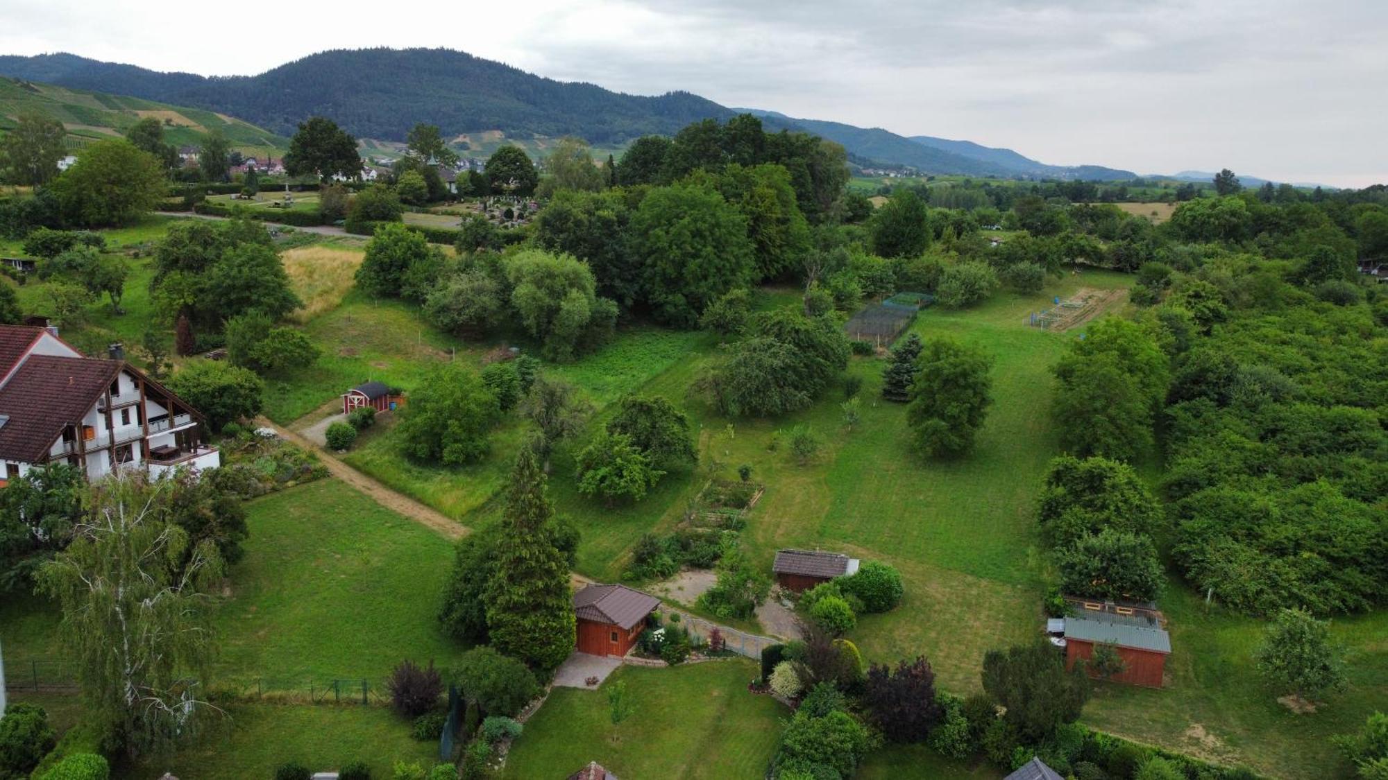 Ferienwohnung Herrnberg บาเดน-บาเดน ภายนอก รูปภาพ